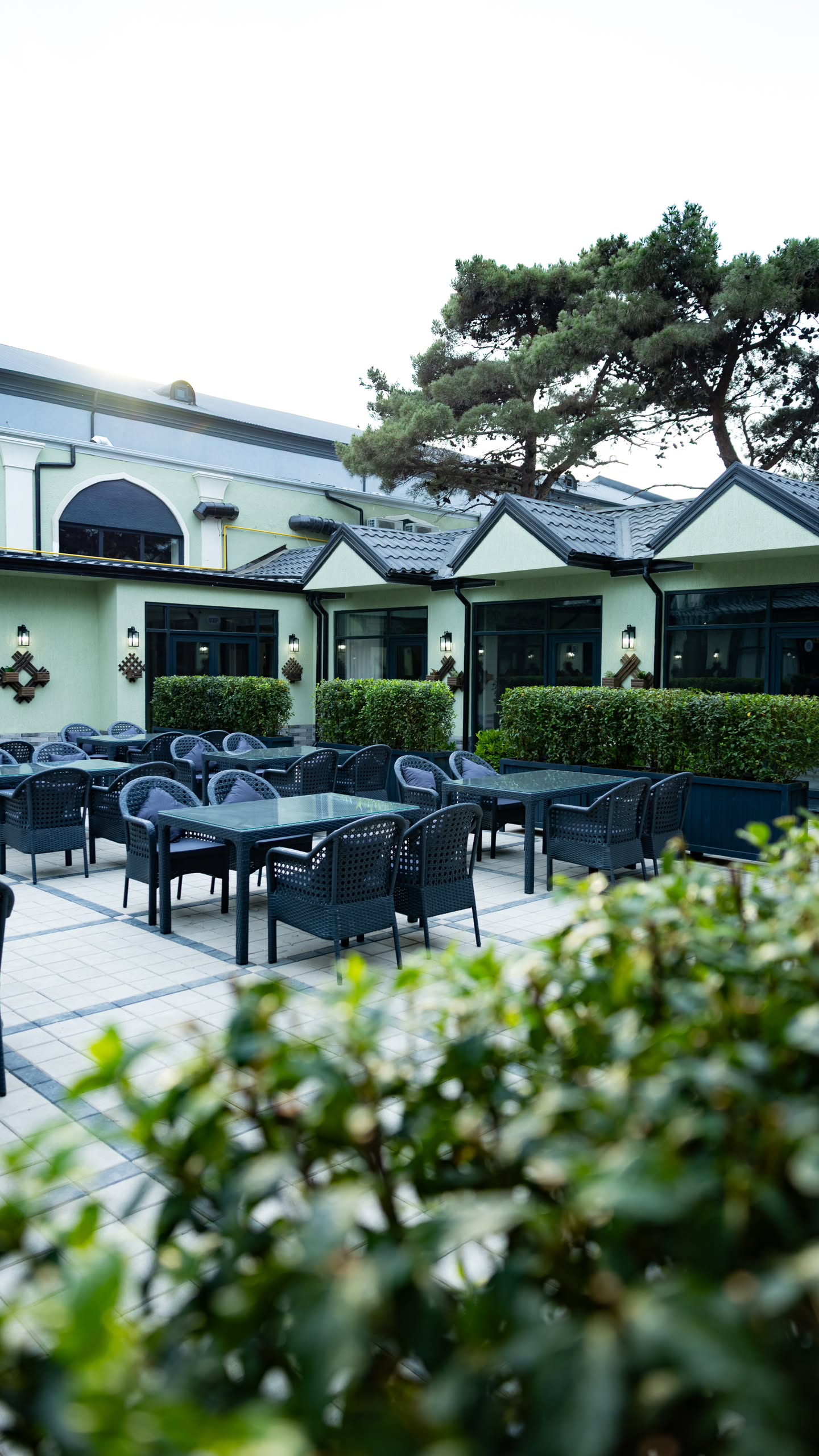 Terras
